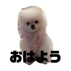 M_20260516031559