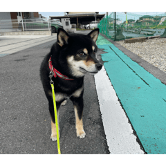 yamada_20260516154130