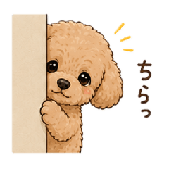 NON_20260520004300
