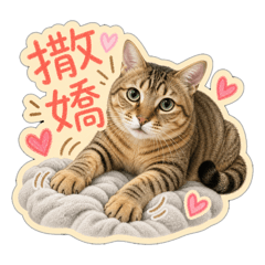 爪爪貓