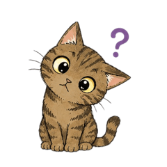 Kijitora cat that can be used every day