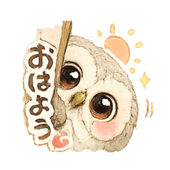 A fluffy owl's day