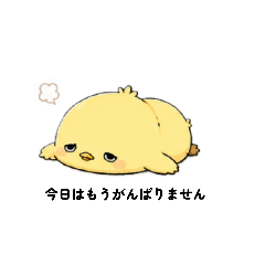 shima*_20260516135712