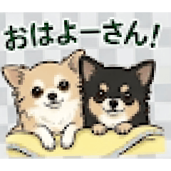 WATARU_20260516133931