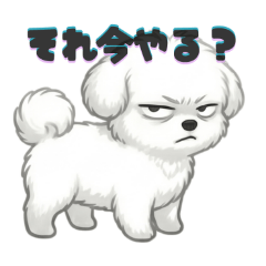 haname-san_20260516140845