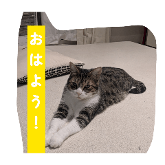 haru_20260516162103