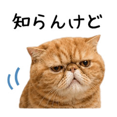 Kyoneko Chachamaru Stickers Vol,2