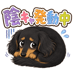 Low-Energy Introvert Dachshunds