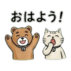 Cat & Bear Daily Stickers