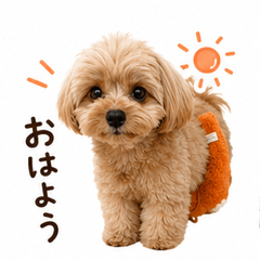 CocoDaily Stickers