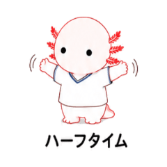 Always Useful! Axolotl Soccer Fans