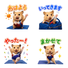 Reru-chan Humster: Gymnastics Edition