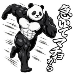 肌肉熊貓：筋肉語日常諧音貼圖.