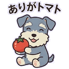 Punny Schnauzer: Daily Wordplays