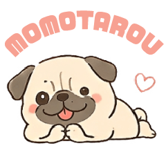 MOMOTAROU*PUG
