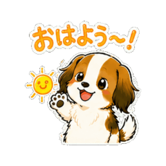 Daily Kooikerhondje