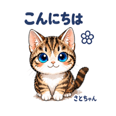 Satochan Cat