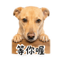 柔柔來溜2～
