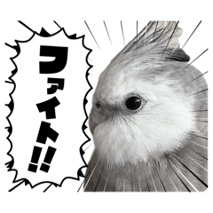 goma-stamp
