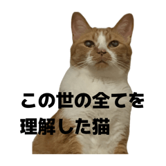 kechan_20260516064804
