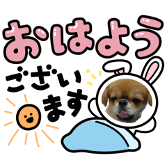 uni_20260516065723