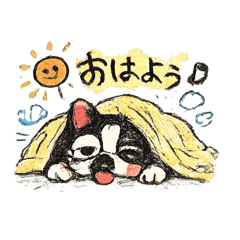 cocovivi_20260516065949