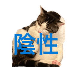 rpgin_20260516063902
