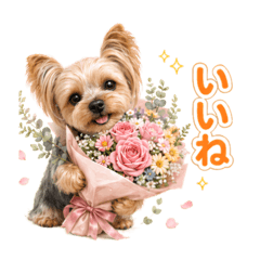satsuki_20260516065020