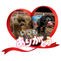 akamii_20260516164259