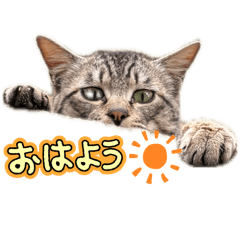 kantaro_20260516164415