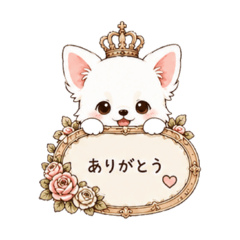 berry_20260516121320