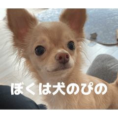 ni_20260516120032