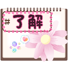 Pocha_20260516164544