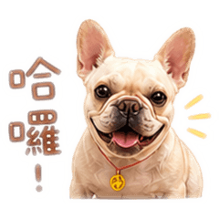 Nana法鬥日常
