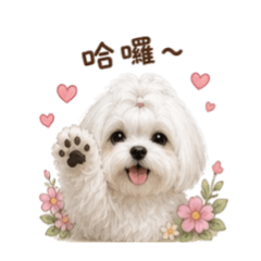乖乖的療癒型貼圖