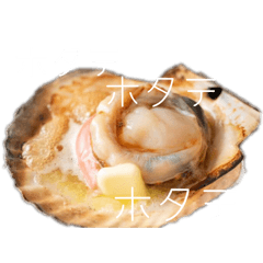 hotate_20260516171721