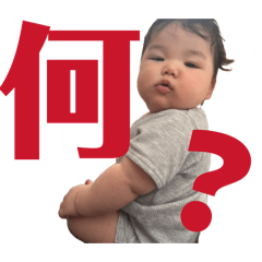 wada_20260516172748
