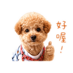 大腸與歐疼