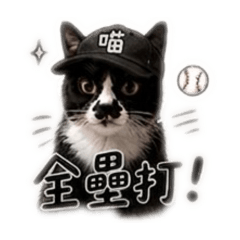 肚菇打棒球