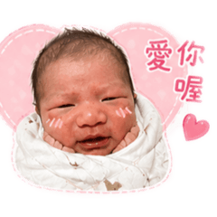 星宇閃亮登入地球