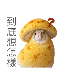 你我皆奶雞