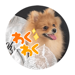 r.yu_20260516083026