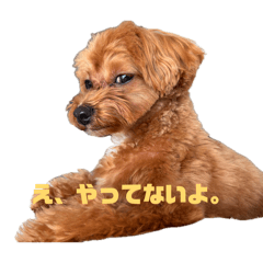 Bell_20260516083148