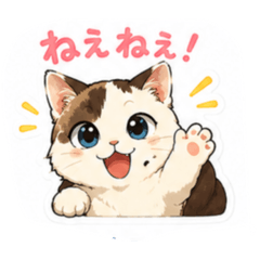 MUGI_20260516083524