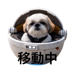 chikage_20260516084447