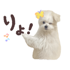 Mayu_20260516084726