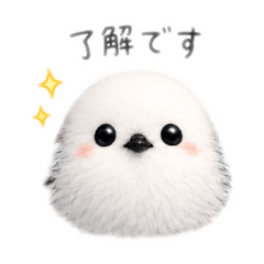 Tooook_20260516171700
