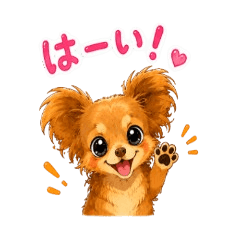Luke the Papillon