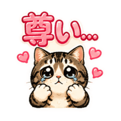 ayatsu_20260516180653