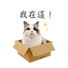 奧迪（2）